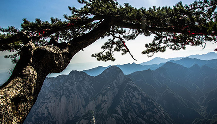 西岳指的什么山