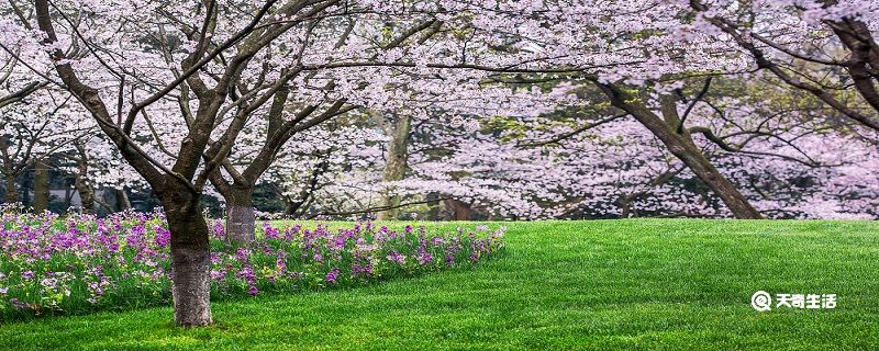 湖州市春季赏花去哪里