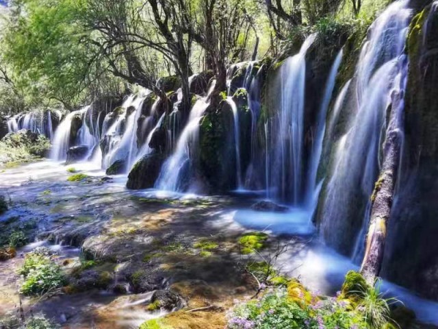 草木日夜听山泉。九寨沟景区供图