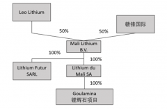 赣锋锂业逆势再买矿